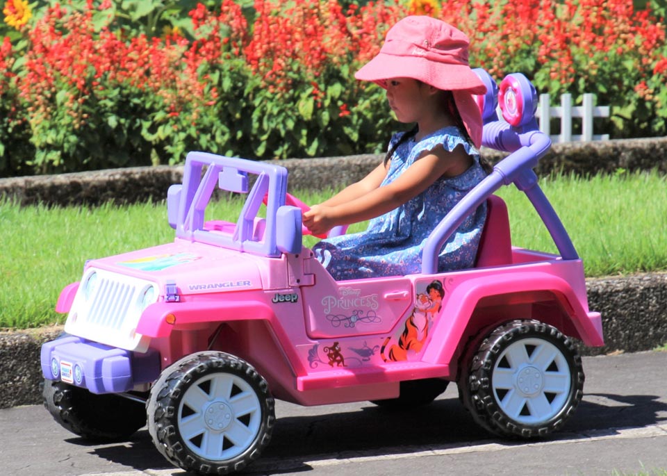 ディズニープリンセス