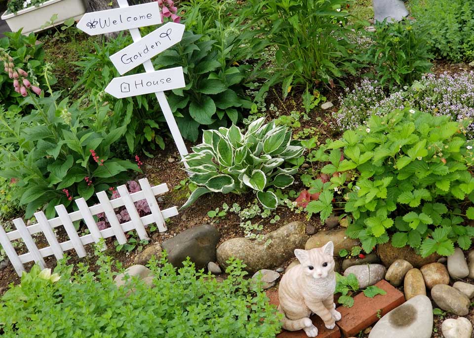 ガーデニングエリア