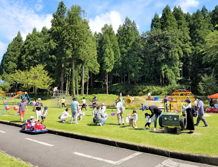 自然を楽しもう！