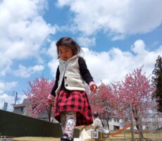 作品No:4　桜と青空の下の一本橋<br><br>桜が咲いて春が来たから、子どもたちの笑顔も満開🌸<br><br>