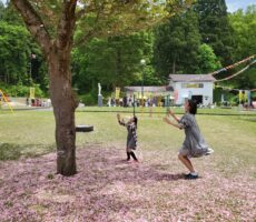 作品No:44　桜の花びらをつかまえた<br><br>桂公園にはゴーカートや遊具などたくさんの遊びがありますが季節によっては青空の下で桜の散る花びらをつかまえて遊ぶこともでき地面には桜の絨毯でとても綺麗ですよ。<br><br>