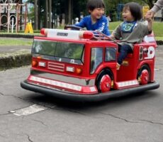 作品No:59　一緒に乗れたね<br><br>弟が大きくなり、大好きなにぃにと二人で乗れるようになってお互い嬉しそうな笑顔で車に乗っている写真です^_^<br />
<br><br>