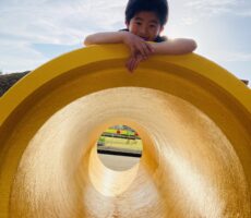 作品No:181　トンネルの上で休憩タイム🎶<br><br>トンネルの上でくつろいでいる姿をパシャリっ！<br><br>