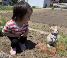作品No:184　いっしょにあそぼ？<br><br>「ぴょんぴょーん！」と手で耳を作ってうさぎさんの真似をしながら近づいて、微妙な距離感でそっと寄り添う姿が可愛くて、急いでシャッターを切りました。<br><br>