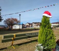 作品No:177　クリスマスの足音♪<br><br>クリスマスには冬季休園している 桂公園こどもランド ですが、<br />
11月にしか見られないレアな風景です！<br />
もうすぐ そこまでクリスマスの足音が聞こえてきます。<br><br>