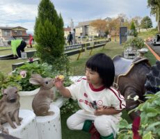 作品No:181　桂公園飼育員<br><br>いっぱいたべてね〜🥕(うまい棒)<br><br>