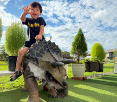 作品No:1 だいすきな恐竜とボク<br><br>恐竜が大好きで大好きで恐竜愛が止まらない息子☺️<br />
桂公園に入口にいる恐竜に大興奮✨<br />
頭をなでなでしたり目をツンツンしてみたり🦖<br />
恐竜の背中に乗れた時には嬉しくて嬉しくて大はしゃぎ❤️<br />
子供の笑顔を引き出してくれた恐竜さん、ありがとうございました🥰<br />
夕方に進む夏の空をバックにいい写真が撮れました📸<br><br>