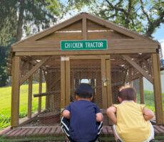 作品No:9　ニワトリさんいるかな〜？<br><br>小屋を覗き込む小さな背中が可愛い1枚です。<br />
生き物に興味津々！<br><br>