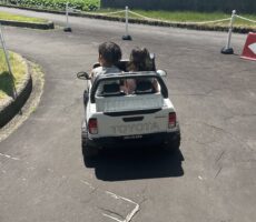 作品No:28 2人でデート<br><br>普段は喧嘩ばかりですが、この公園に行くと仲良く二人で乗ったり遊んだり楽しそうにしてます。<br><br>