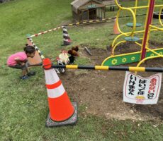 作品No:29 あぶないのではいってはいけません<br><br>しつこく追いかける僕から逃げた先は…<br />
にわとりさん、賢過ぎる!「にわとりー!ずるーい!」と、<br />
僕はちゃんと入らず、叫んでいました。<br />
そう、あぶないのではいってはいけません!笑<br><br>