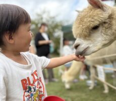 作品No:34 もうお友達<br><br>えさをあげられるようになり得意げに嬉しそうにあげていてお気に入りの一枚です<br><br>