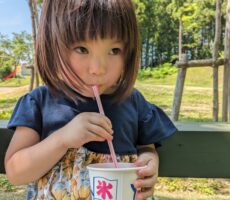 作品No:37　夏といえば…かき氷！！<br><br>大好きな苺味のかき氷でパワーチャージ！冷たくて美味しいね♡<br />
ゴーカートにブランコに、暑さを忘れて沢山遊びました。<br><br>