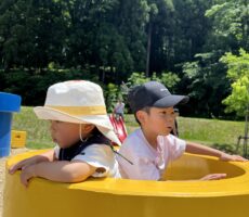 作品No:51 兄弟でひょっこり<br><br><br><br>