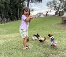 作品No:54　コケコッコー！仲間入り♪<br><br>去年は怖くて近づけてなかったのに、<br />
今年は一緒にポーズまでして写真とりたい！と成長を感じた一枚<br><br>