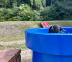 作品No:67 かえるさんとかくれんぼ<br><br><br><br>