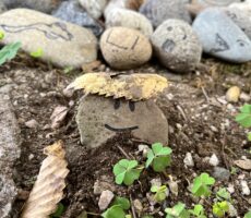 作品No:70 石アート<br><br>石アートをさせていただきました!<br />
葉っぱの帽子も良い感じ♪<br><br>