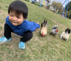 作品No:71 にわとり<br><br>ニワトリの真似をして見せてくれました。<br><br>