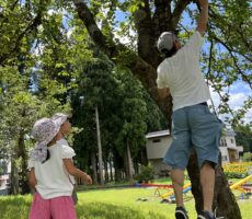 作品No:76　ダディーとってー！<br><br><br><br>