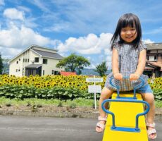 作品No:83　楽しい！シーソーあそび<br><br>楽しそうにシーソーをしている様子と、ひまわりと青空の鮮やかな色彩が素敵な写真です。<br><br>