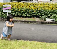 作品No:84　よーい！ドン！<br><br>次の遊具に向かって駆け出すところです。<br><br>