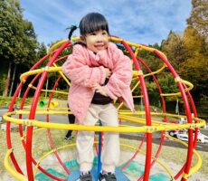 作品No:103 紅葉を感じながら♪<br><br>秋を感じながら高いところから「いい眺めだなぁ〜♪」としばらく景色を堪能していました^^<br><br>