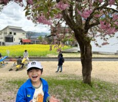 作品No:106 桜餅みたいで美味しそう♪<br><br>こぼれ落ちそうになっている桜の花びらが桜餅みたいで美味しそう〜♪<br />
<br />
思わずよだれが。<br><br>