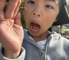 作品No:116　つかまえたっ！！<br><br>秋の桂公園はトンボがたくさん！<br />
夢中になって追いかけていました。<br><br>