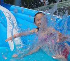 作品No:121 バシャーン🌊<br><br>見ている方も涼しくなれるほど豪快な入水。<br />
顔に水がかかるのもへっちゃらな姿に成長も感じました🥺<br><br>