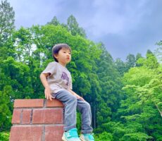 作品No:125 お気に入りの場所<br><br>雨上がりの桂公園お気に入りの場所から、青空を眺めています。<br />
新緑もきれいでした!<br><br>