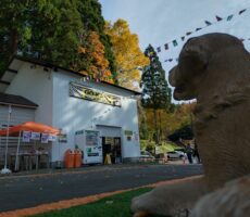 作品No:126 紅葉狩り<br><br>園の入口で、いつも皆を出迎えてくれるワンちゃん。<br />
秋の午後は、うっとり紅葉を眺めてました♪<br><br>