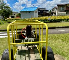 作品No:130　ひまわり畑にしゅっぱーつ！<br><br>安全運転で向かいます！<br />
そんな1枚が撮れました！<br><br>