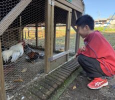 作品No:136 ニワトリと僕。<br><br>あれ、いない?!と思うと、ニワトリさんを見に行っている息子くん・・<br />
遊んでは見に行くの繰り返し😂とても興味津々だったようで、鼻の下がのびてます笑<br><br>