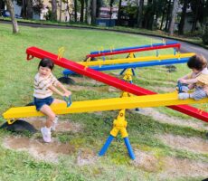 作品No:147 ギッタンバッコーン♪<br><br>姉弟で初めて一緒に乗ったのがこのシーソーです。<br />
ギッタンバッコーン!と動くシーソーに弟はびっくり!<br><br>