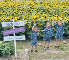 作品No:165 笑顔もひまわり<br><br>ひまわりのお洋服で、たくんのひまわりに囲まれて、3人揃ってひまわり笑顔!<br />
夏のいい思い出の1枚です!<br><br>