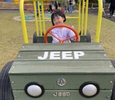 作品No:172　どこまで行きます〜？<br><br>ハンドルをグルグル回して気分はベテラン運転手！<br><br>