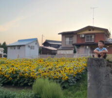 作品No:176 夏の終わり<br><br><br><br>