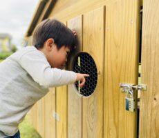 作品No:186 ここはね、寝る場所なんだよ。だってね、、、<br><br>行くといつも観察し、小屋の作りと烏骨鶏がどのように生活しているかを繋げて考え、自分なりの解釈を自信あり気に話してくれます。<br><br>