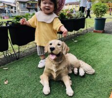 作品No:189 桂公園デビュー<br><br>10ヶ月の息子が初めて桂公園に行きました<br />
わんちゃんが大好きで最高の笑顔になりました<br><br>