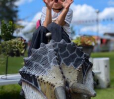 作品No:196　ガオ～！<br><br>初めての桂公園！<br />
楽しくてずーっと走り回っていました。<br />
恐竜の上で少し休憩中。<br><br>