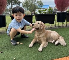 作品No:199 可愛いわんちゃんみ〜っけ<br><br>可愛いわんちゃん発見〜!と、思ったらニセモノだぁあ〜!<br><br>