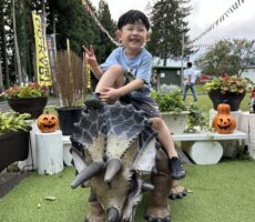 作品No:200　大好きな恐竜に乗っちゃった〜！<br><br>カッコ良い恐竜を見つけてニッコリが止まりません！<br><br>