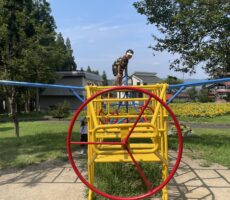 作品No:228　ありがとう！高いところもへっちゃらに！<br><br>50年以上続いたこの遊具。<br />
高いところは怖かったけど、この遊具のおかげで高いところもへっちゃらになりました。<br />
自信を持たせてくれた遊具に感謝です。<br><br>