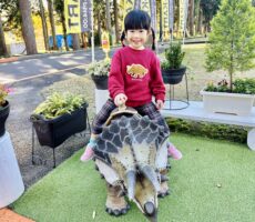 作品No:242 大好きなトリケラトプスと…♡<br><br>毎回、来る度に嬉しそうにトリケラトプスに乗っかる娘♡<br />
今日は「トリケラトプスのお洋服を着て、桂公園に行くー!」と朝のお着替えから張り切っていました^^<br><br>