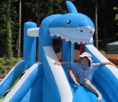 作品No:250　行きたい、、でもコワイ！<br><br>背丈の何倍もある滑り台からすべれるかなぁのドキドキ💓<br><br>